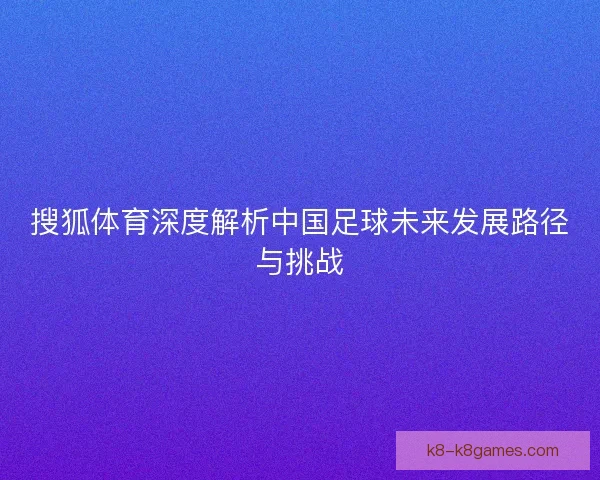 搜狐体育深度解析中国足球未来发展路径与挑战